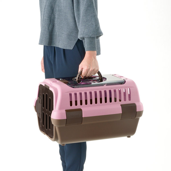 Richell Double Door Pet Carrier Wayfair